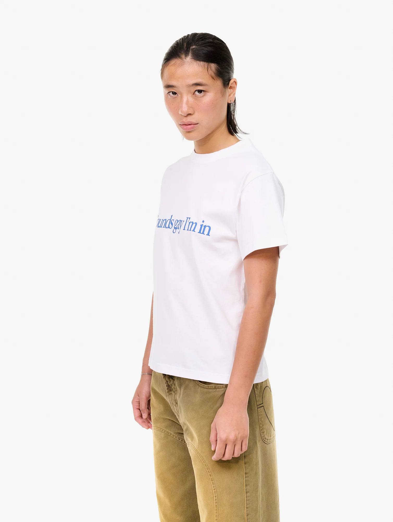 Simply Sounds Gay - Image 4
